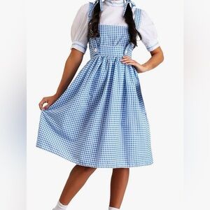 Dorothy Costume from the Wizard of Oz. Blue Gingham Pinafore Dress